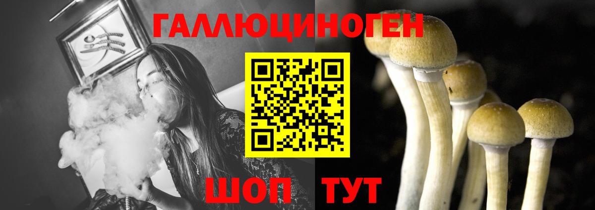 Осинники  купить наркотик  Вход с VPN  Псилоцибиновые грибы GOLDEN TEACHER 